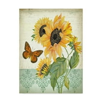Trademark Fine Art 'Summertime Botanicals 1' Canvas Art by Jean Plout