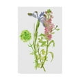 thumbnail image 1 of Trademark Fine Art 'Summertime Daydream I' Canvas Art by Melissa Wang, 1 of 4