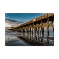thumbnail image 1 of Trademark Fine Art 'Sun Bath on Folly Beach' Canvas Art by Danny Head, 1 of 4