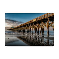 Trademark Fine Art 'Sun Bath on Folly Beach' Canvas Art by Danny Head