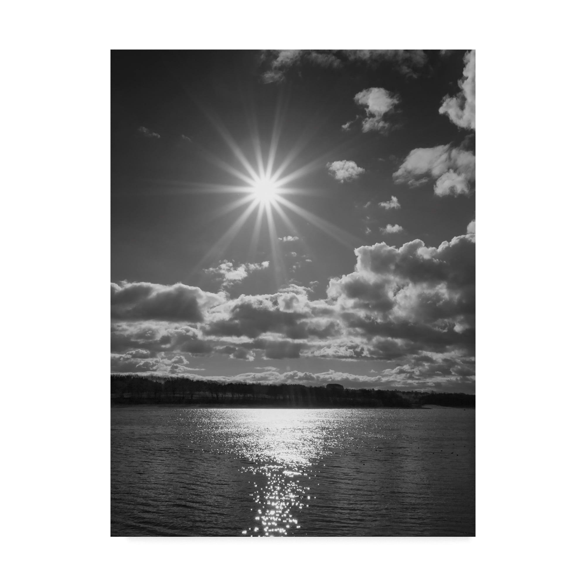 Trademark Fine Art 'Sun Burst' Canvas Art by Martin Henson