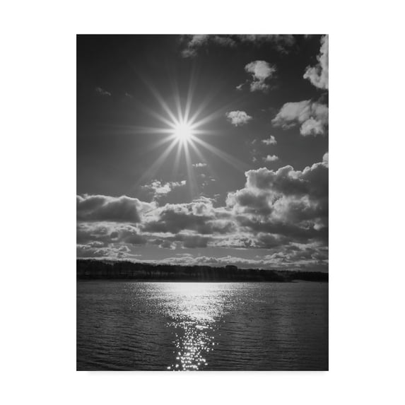 Trademark Fine Art 'Sun Burst' Canvas Art by Martin Henson