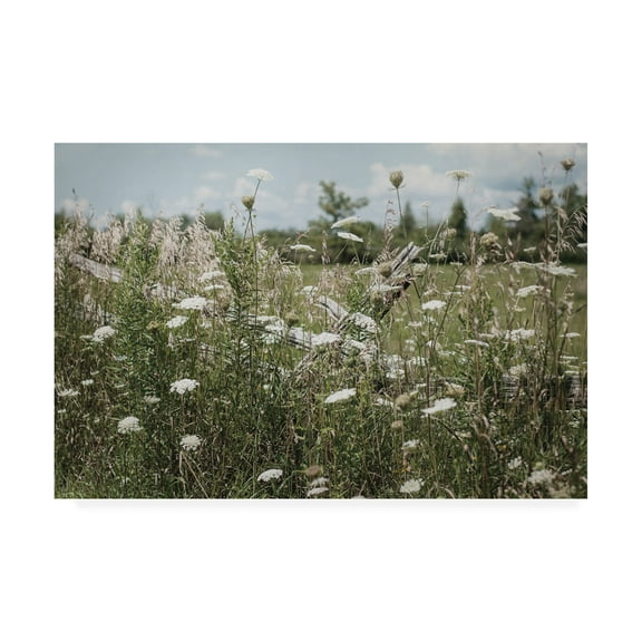 Trademark Fine Art 'Sun Drenched III' Canvas Art by Elizabeth Urquhart