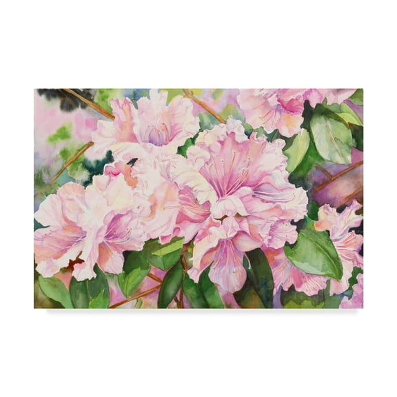Trademark Fine Art 'Sun Lit Azalea' Canvas Art by Joanne Porter