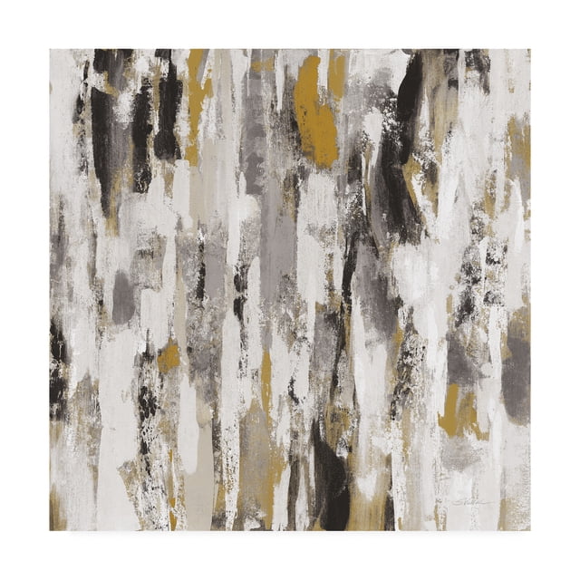 Trademark Fine Art 'Sun Rays BW' Canvas Art by Silvia Vassileva