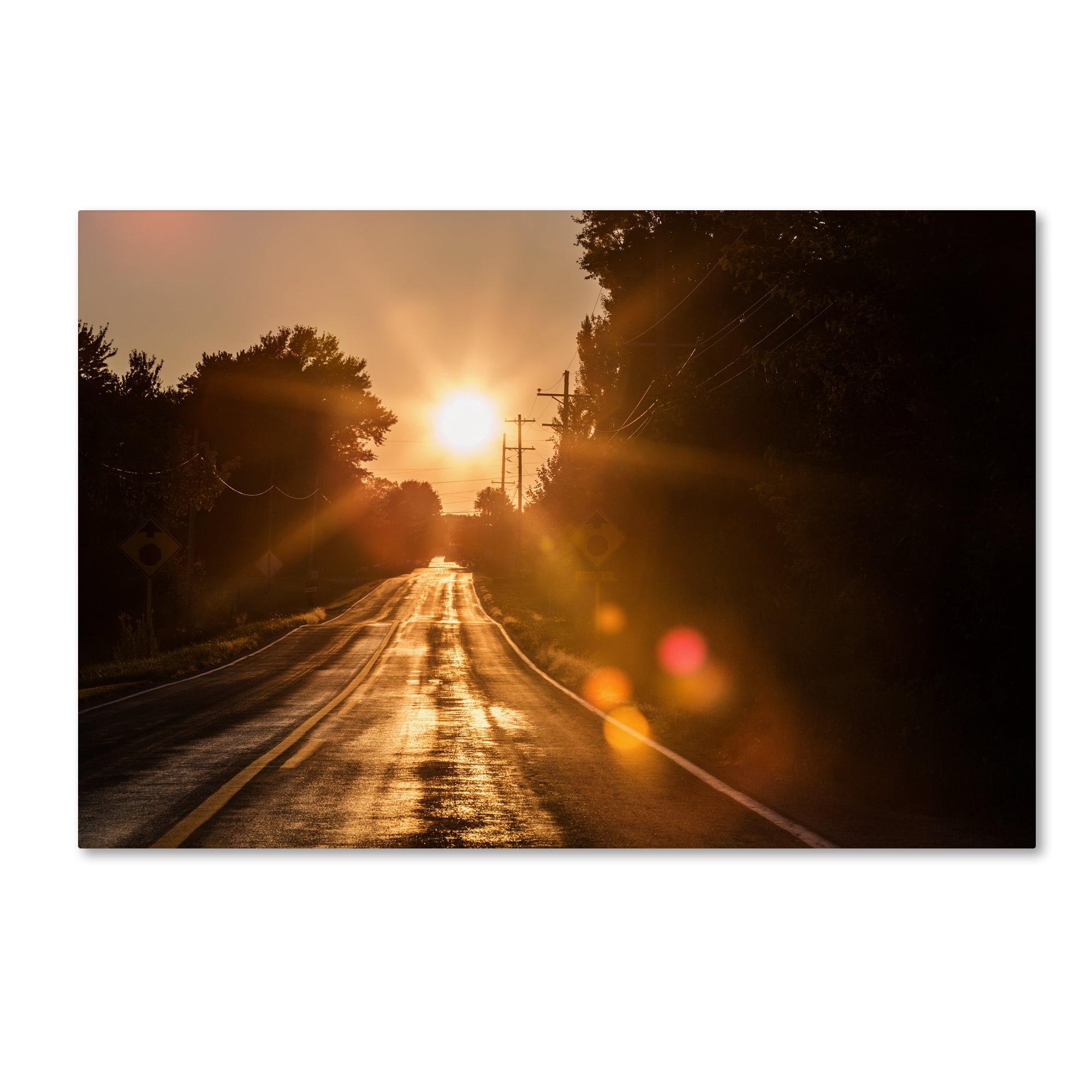 Trademark Fine Art "Sun Soaked Road" Canvas Art by Jason Shaffer