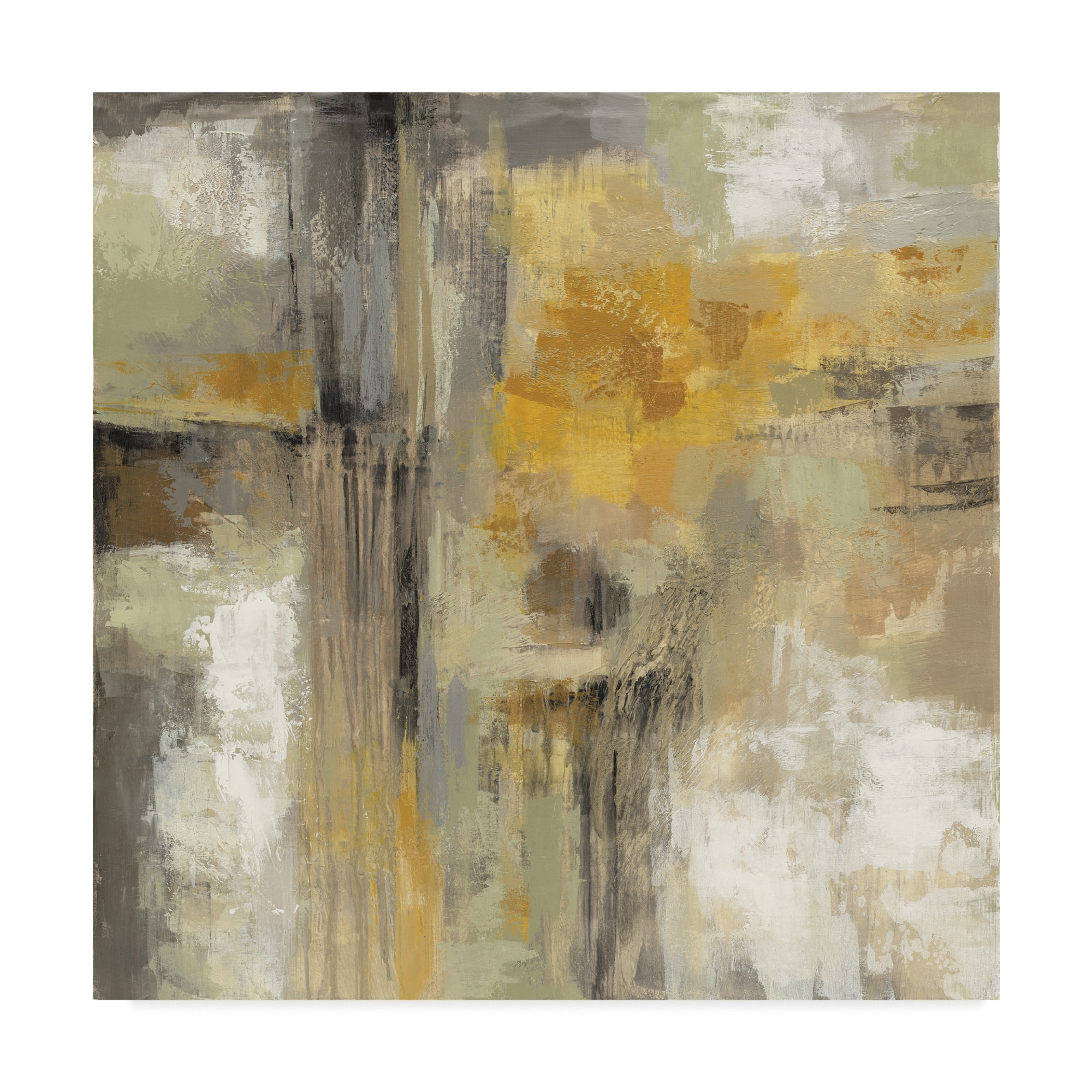 Trademark Fine Art 'Sun and Rain' Canvas Art by Silvia Vassileva