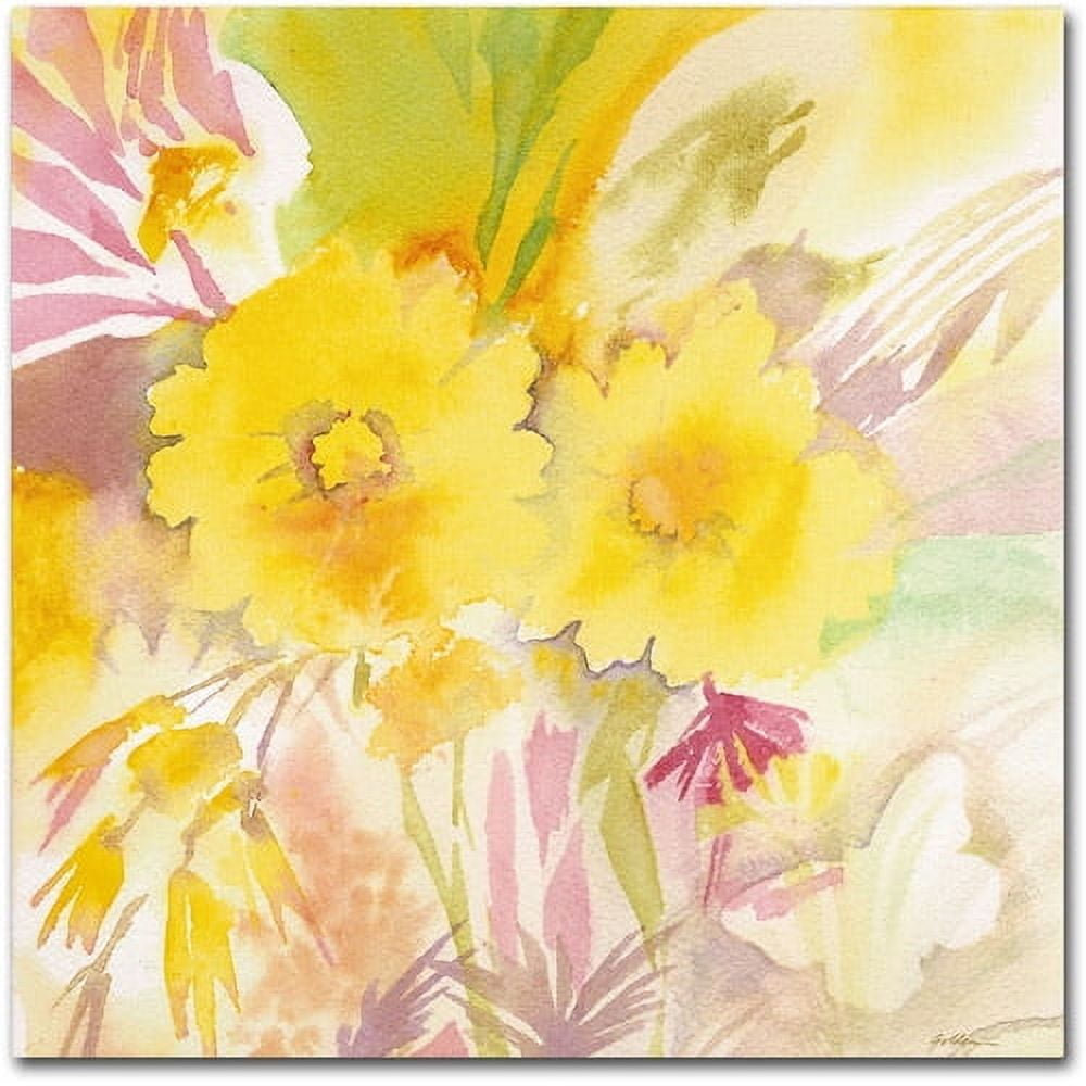 Trademark Fine Art "Sun and Shadows" Canvas Art by Sheila Golden