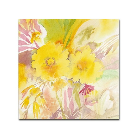 Trademark Fine Art "Sun and Shadows" Canvas Art by Sheila Golden