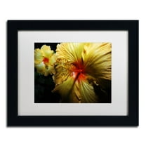 Trademark Fine Art "Sunburst Hibiscus" Canvas Art by Kurt Shaffer White Mat, Black Frame