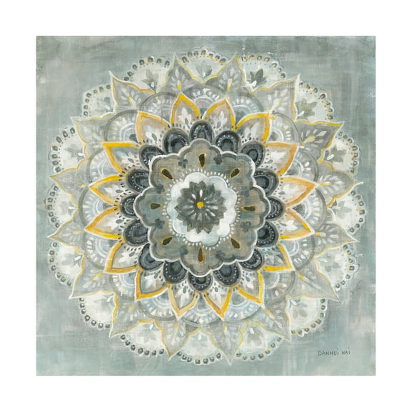 Trademark Fine Art 'Sunburst Mandala' Canvas Art by Danhui Nai