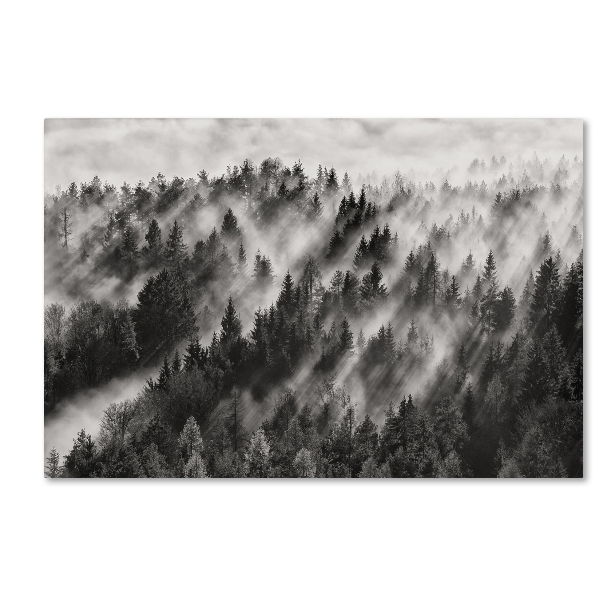 Trademark Fine Art 'Sundance No1' Canvas Art by Davorin Baloh