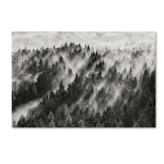 Trademark Fine Art 'Sundance No1' Canvas Art by Davorin Baloh