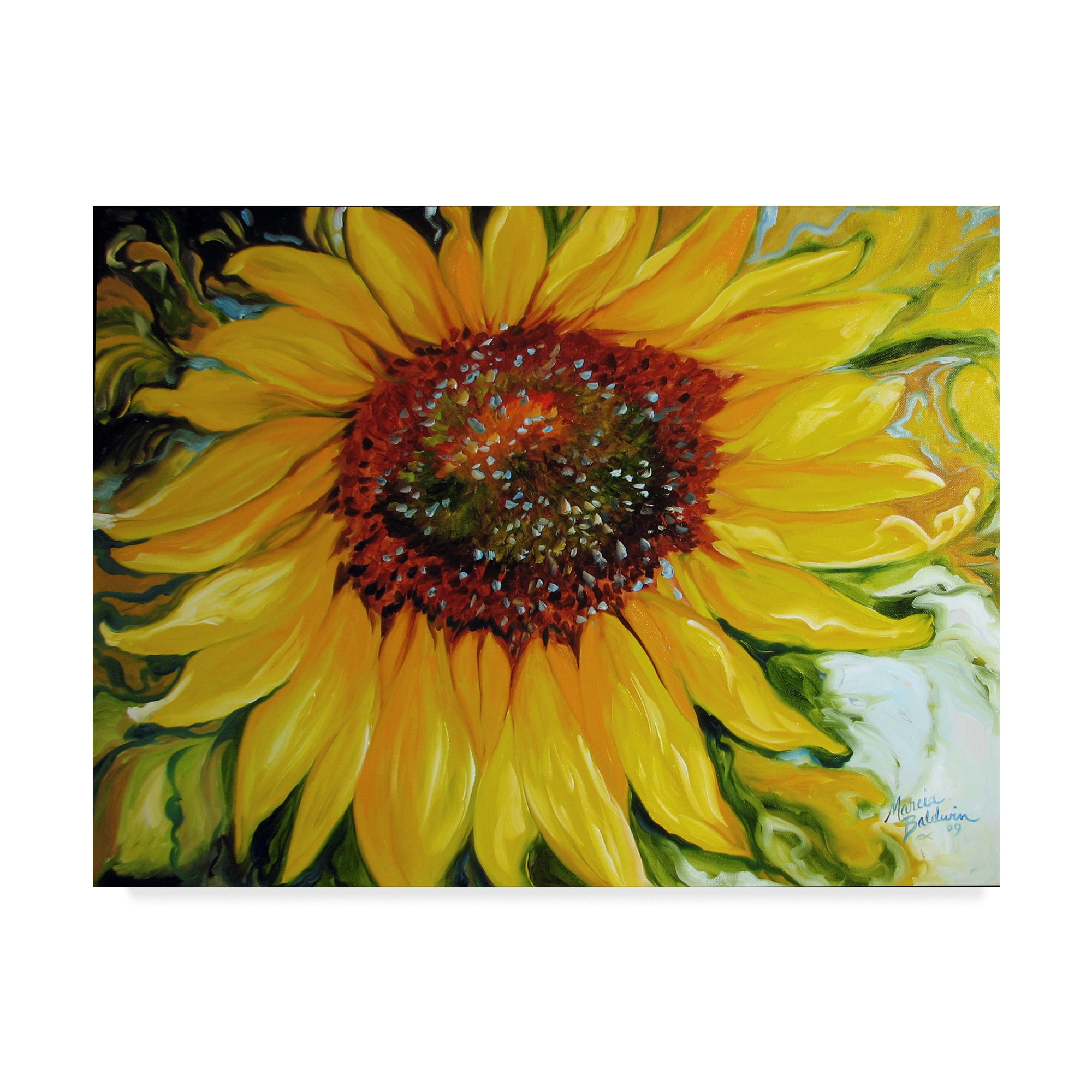 Trademark Fine Art 'Sundown Sunflower' Canvas Art by Marcia Baldwin
