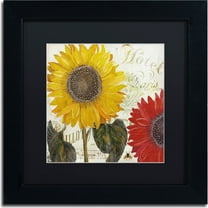 Trademark Fine Art "Sundresses I" Canvas Art by Color Bakery, Black Matte, Black Frame