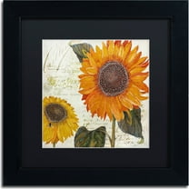 Trademark Fine Art "Sundresses II" Canvas Art by Color Bakery, Black Matte, Black Frame