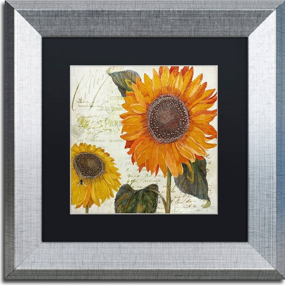 Trademark Fine Art "Sundresses II" Canvas Art by Color Bakery, Black Matte, Silver Frame