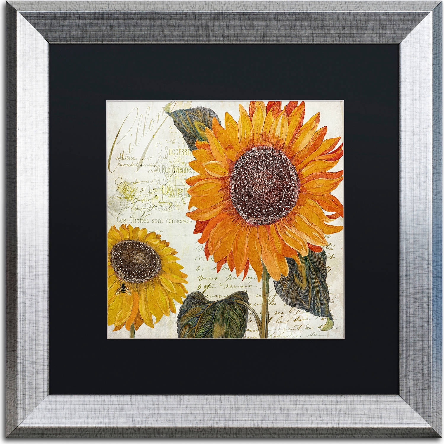Trademark Fine Art "Sundresses II" Canvas Art by Color Bakery, Black Matte, Silver Frame