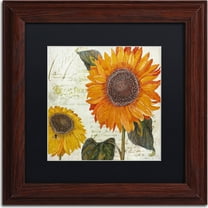 Trademark Fine Art "Sundresses II" Canvas Art by Color Bakery, Black Matte, Wood Frame