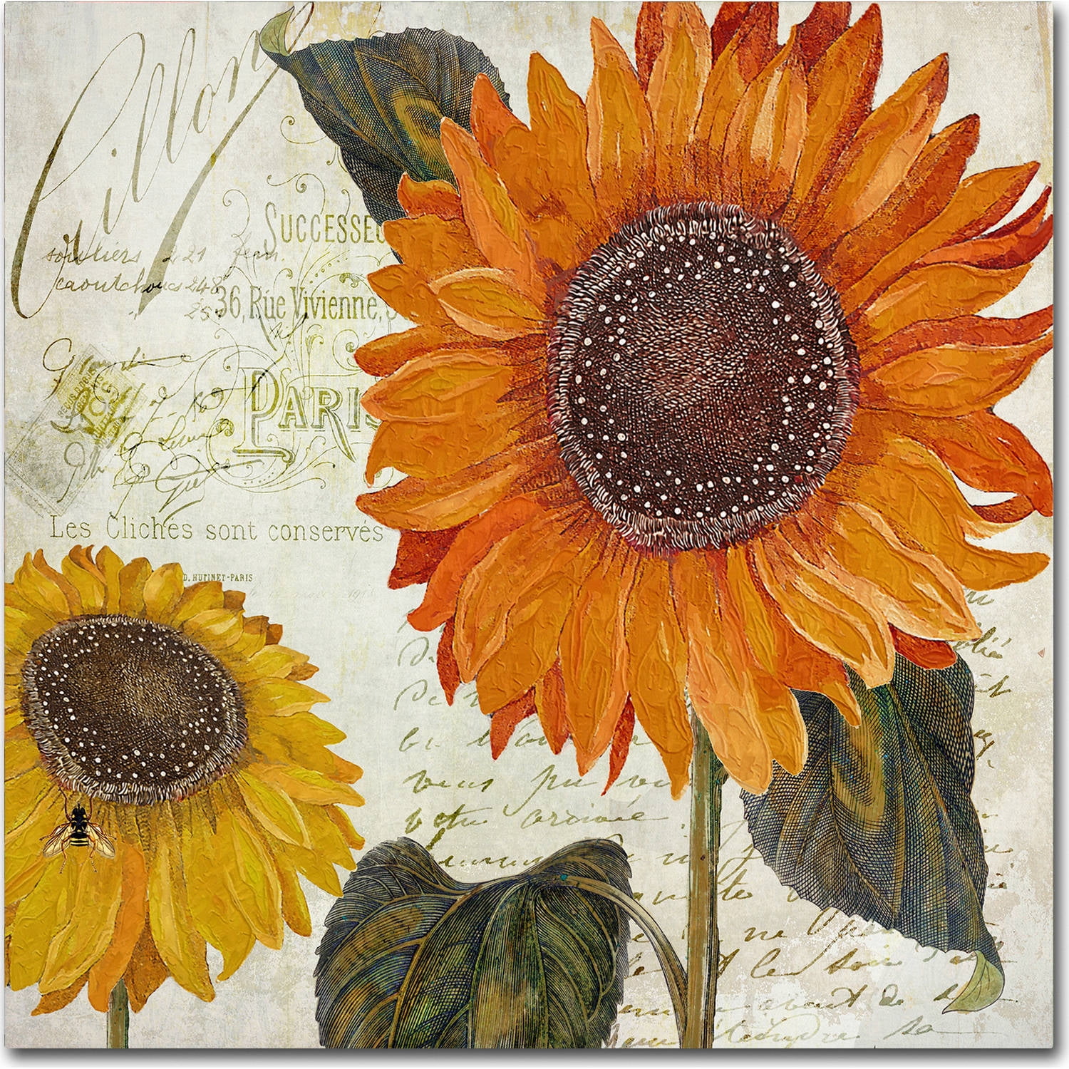 Trademark Fine Art "Sundresses II" Canvas Art by Color Bakery