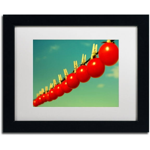 Trademark Fine Art "Sundried Tomatoes" Canvas Art by Beata Czyzowska Young, White Matte, Black Frame