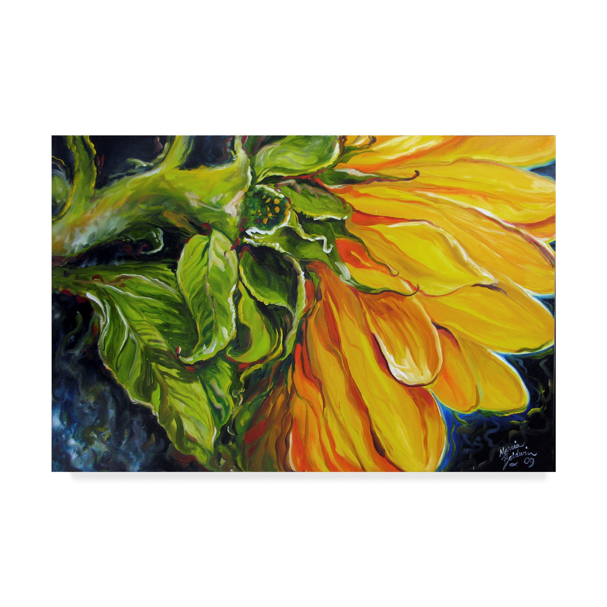 Trademark Fine Art 'Sunflower Abstract' Canvas Art by Marcia Baldwin