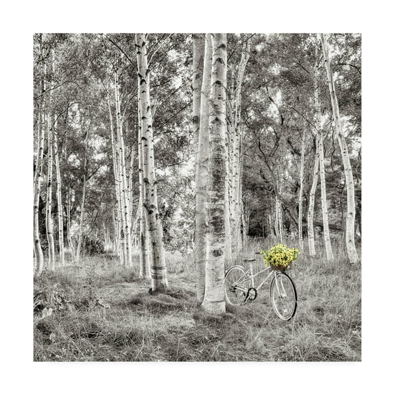 Trademark Fine Art 'Sunflower Bicycle Ride' Canvas Art by Alan Blaustei