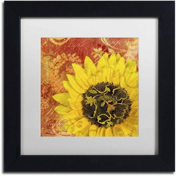 Trademark Fine Art 'Sunflower - Love of Light' Canvas Art by Cora Niele, White Matte, Black Frame