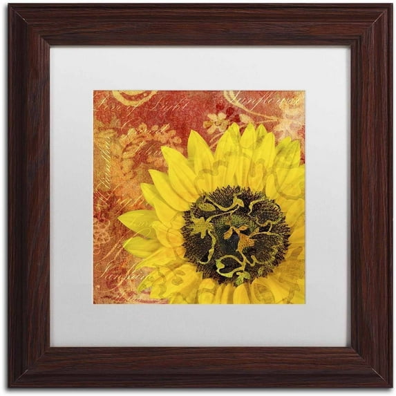 Trademark Fine Art 'Sunflower - Love of Light' Canvas Art by Cora Niele, White Matte, Wood Frame