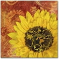 thumbnail image 1 of Trademark Fine Art 'Sunflower - Love of Light' Canvas Art by Cora Niele, 1 of 4