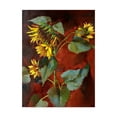 thumbnail image 1 of Trademark Fine Art 'Sunflower Red' Canvas Art by Hall Groat Ii, 1 of 3