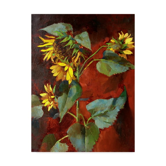 Trademark Fine Art 'Sunflower Red' Canvas Art by Hall Groat Ii