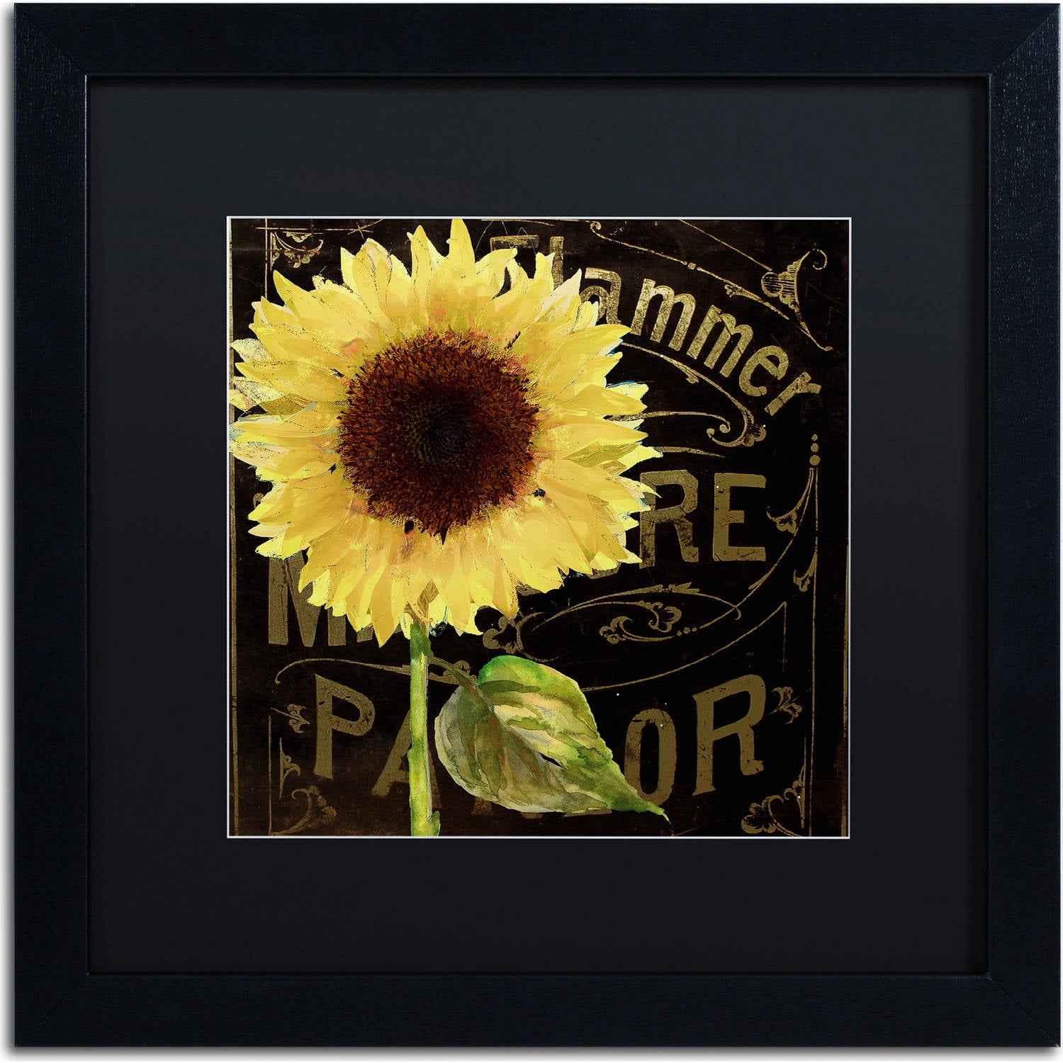 Trademark Fine Art "Sunflower Salon I" Canvas Art by Color Bakery, Black Matte, Black Frame
