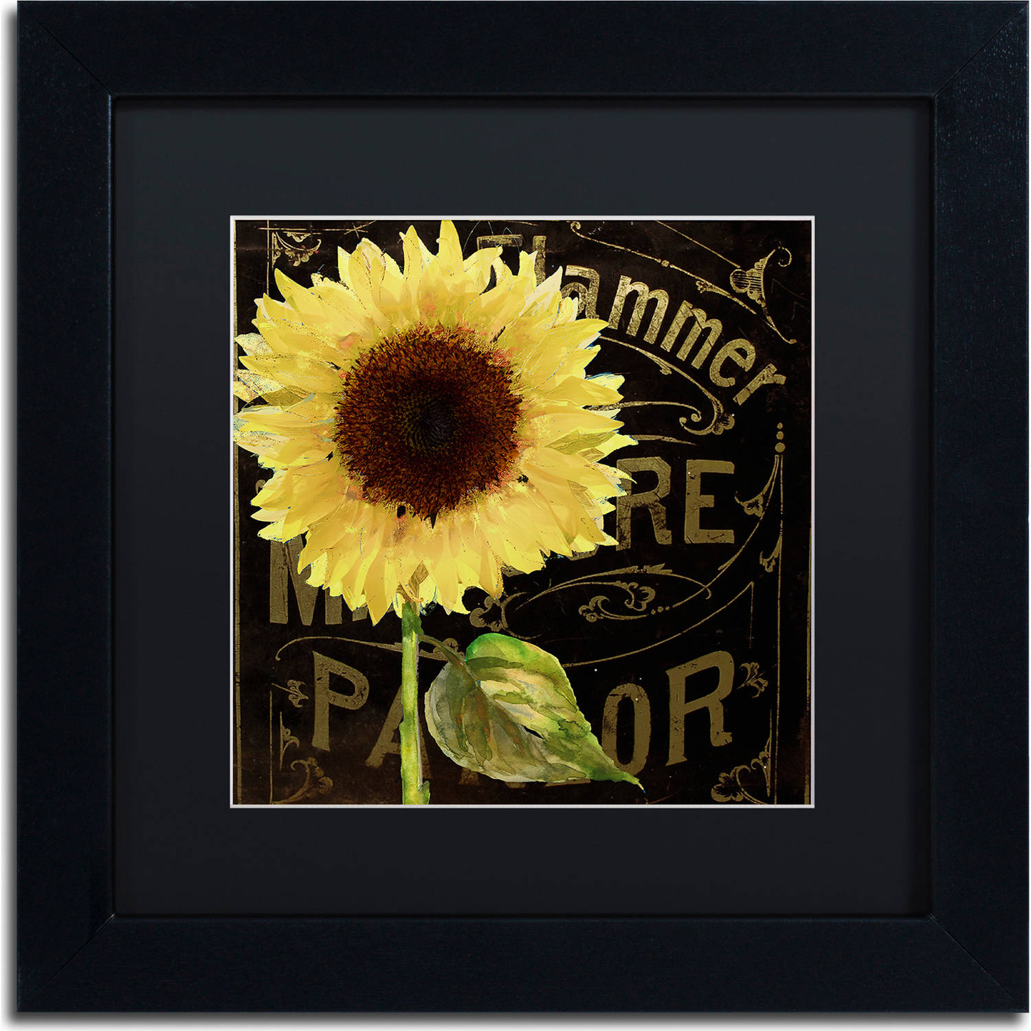 Trademark Fine Art "Sunflower Salon I" Canvas Art by Color Bakery, Black Matte, Black Frame