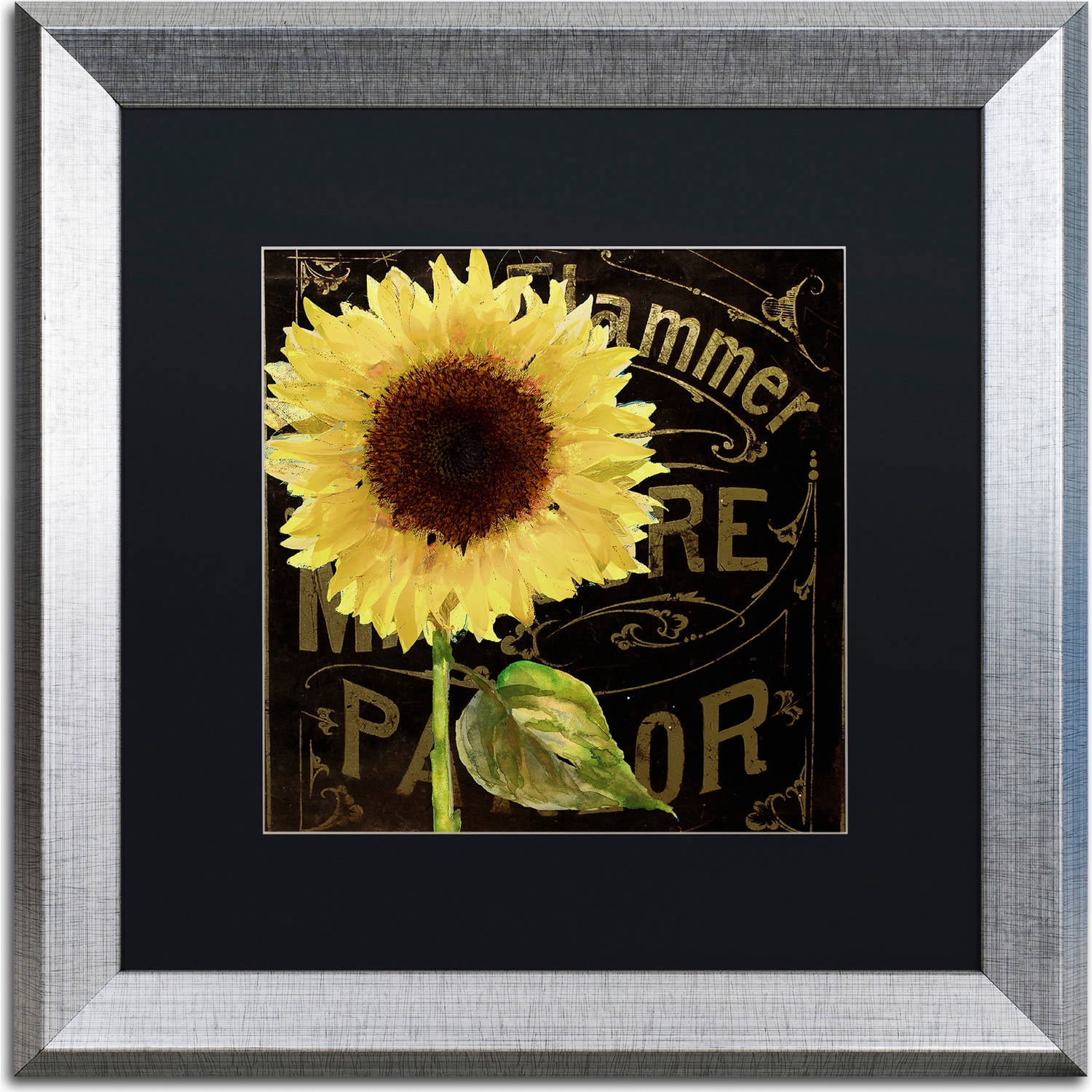 Trademark Fine Art "Sunflower Salon I" Canvas Art by Color Bakery, Black Matte, Silver Frame