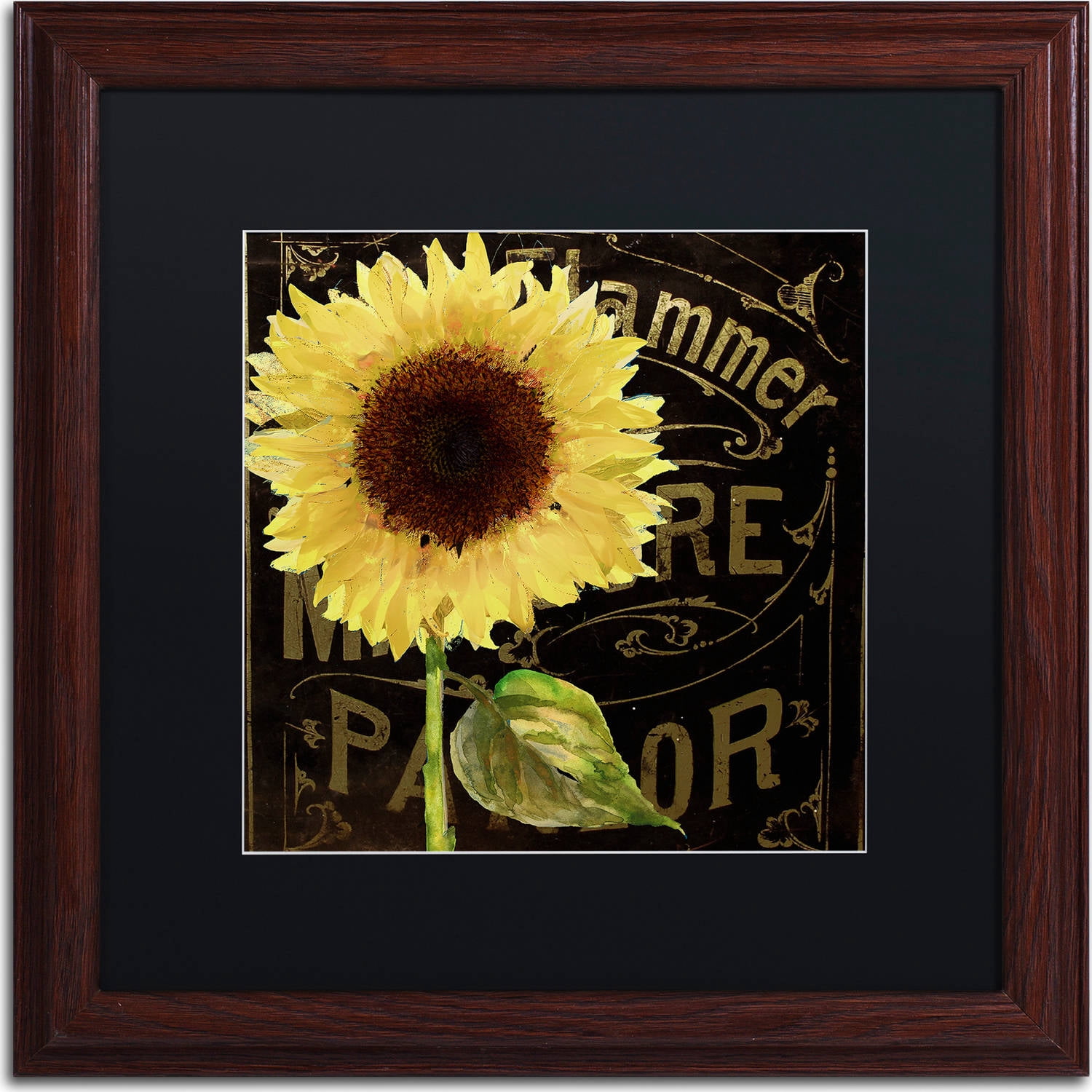 Trademark Fine Art "Sunflower Salon I" Canvas Art by Color Bakery, Black Matte, Wood Frame