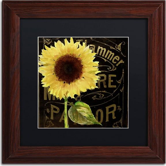 Trademark Fine Art "Sunflower Salon I" Canvas Art by Color Bakery, Black Matte, Wood Frame