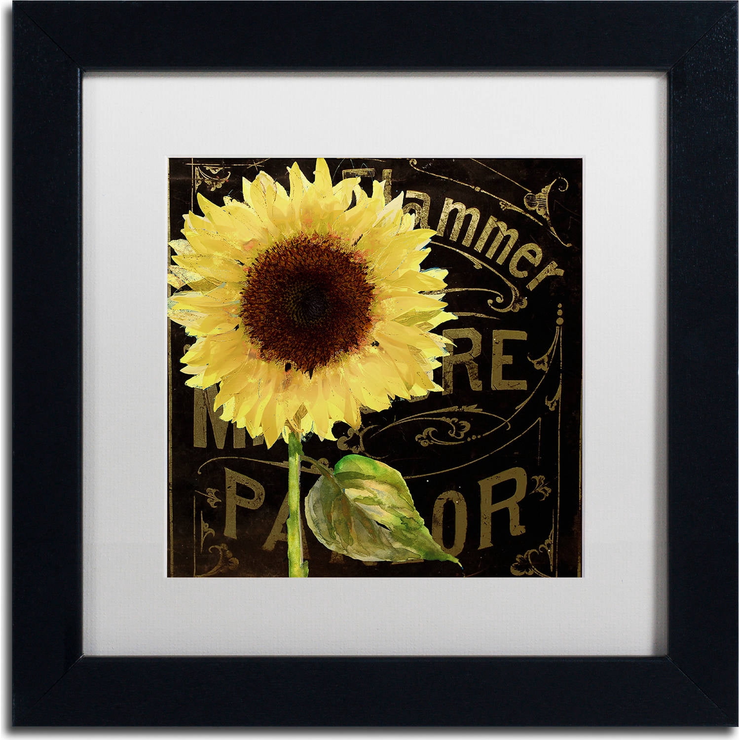Trademark Fine Art "Sunflower Salon I" Canvas Art by Color Bakery, White Matte, Black Frame