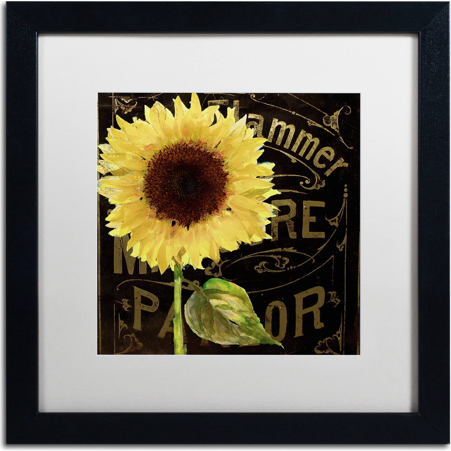 Trademark Fine Art "Sunflower Salon I" Canvas Art by Color Bakery, White Matte, Black Frame