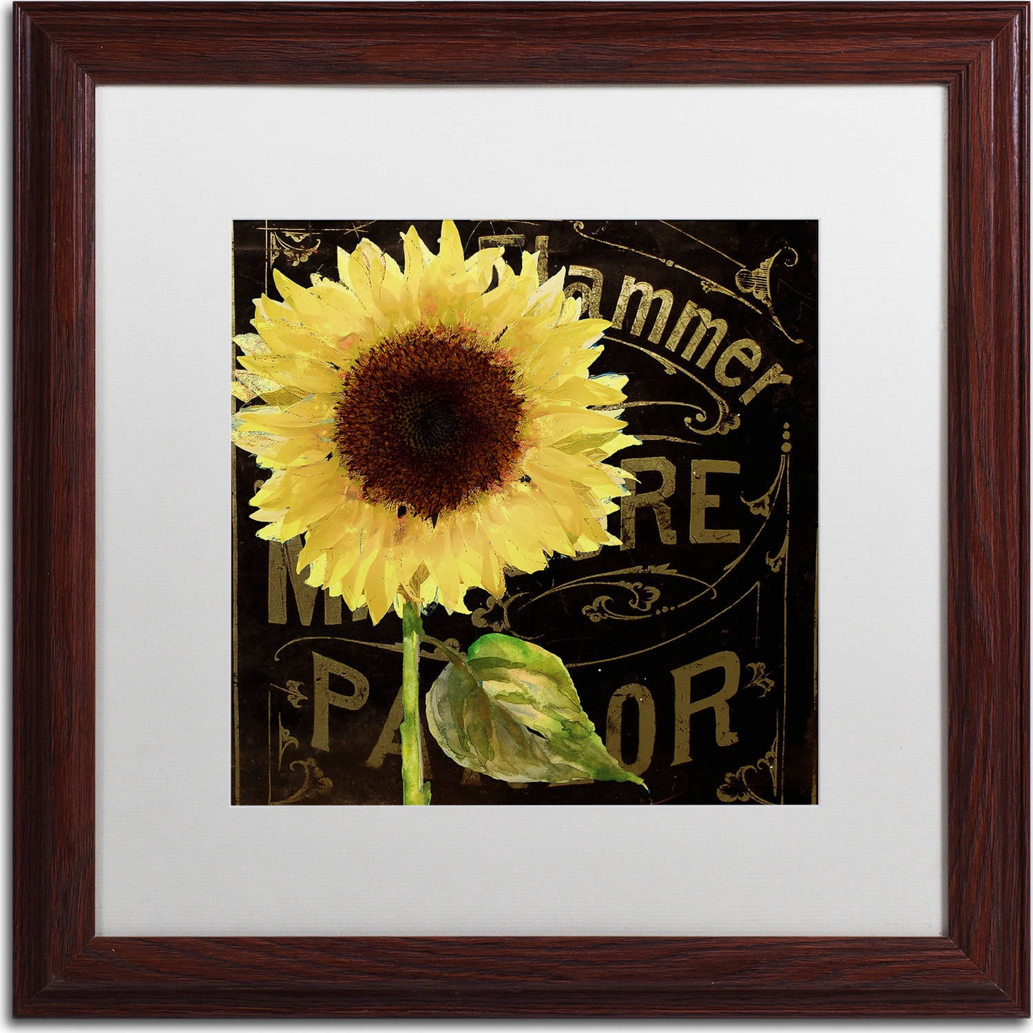 Trademark Fine Art "Sunflower Salon I" Canvas Art by Color Bakery, White Matte, Wood Frame