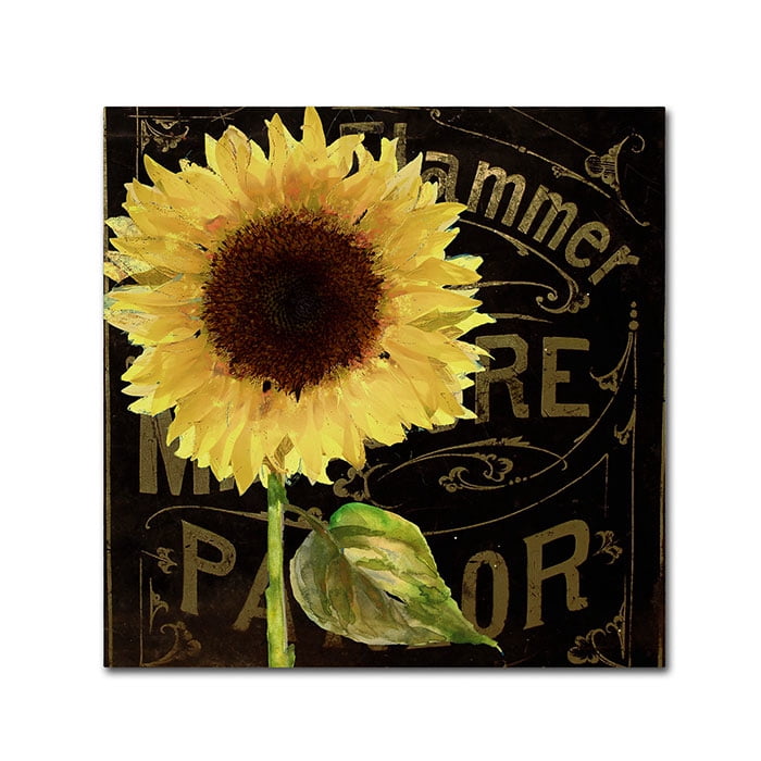 Trademark Fine Art "Sunflower Salon I" Canvas Art by Color Bakery