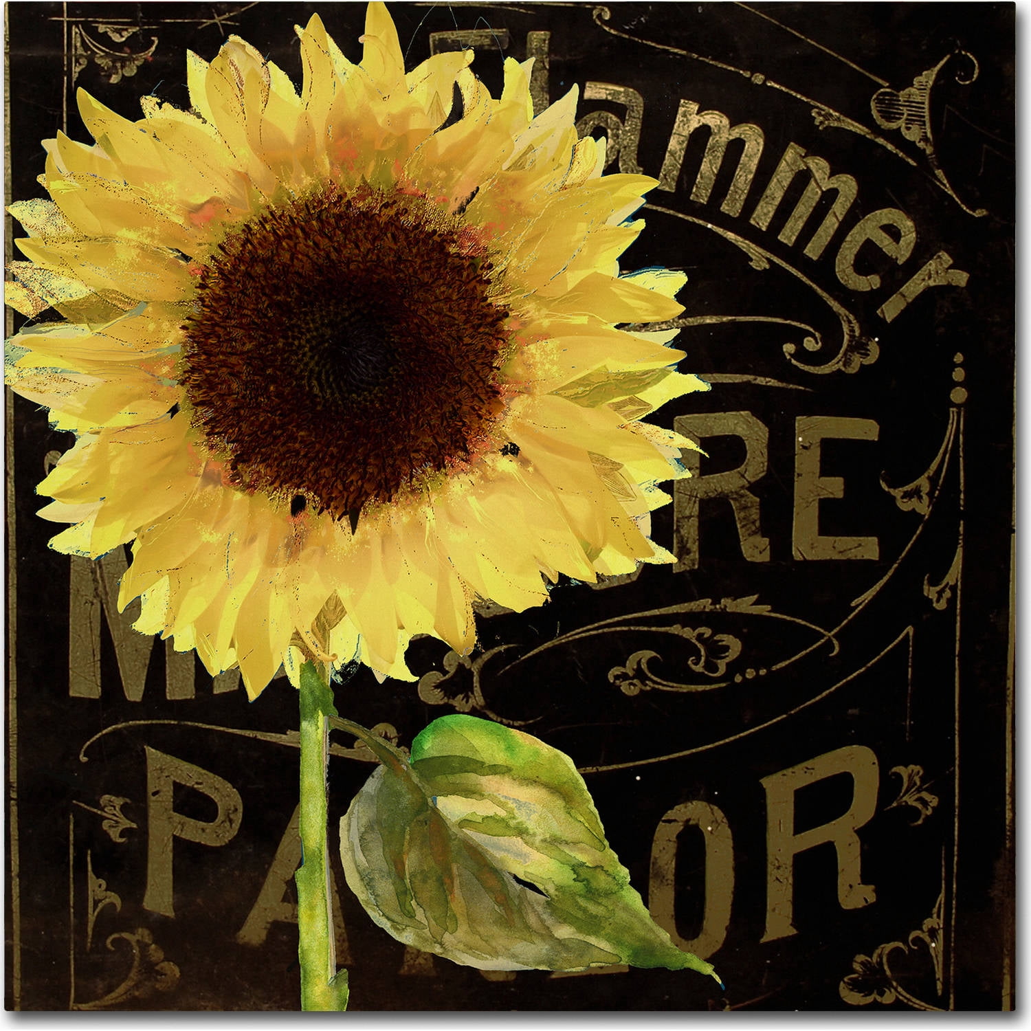 Trademark Fine Art "Sunflower Salon I" Canvas Art by Color Bakery
