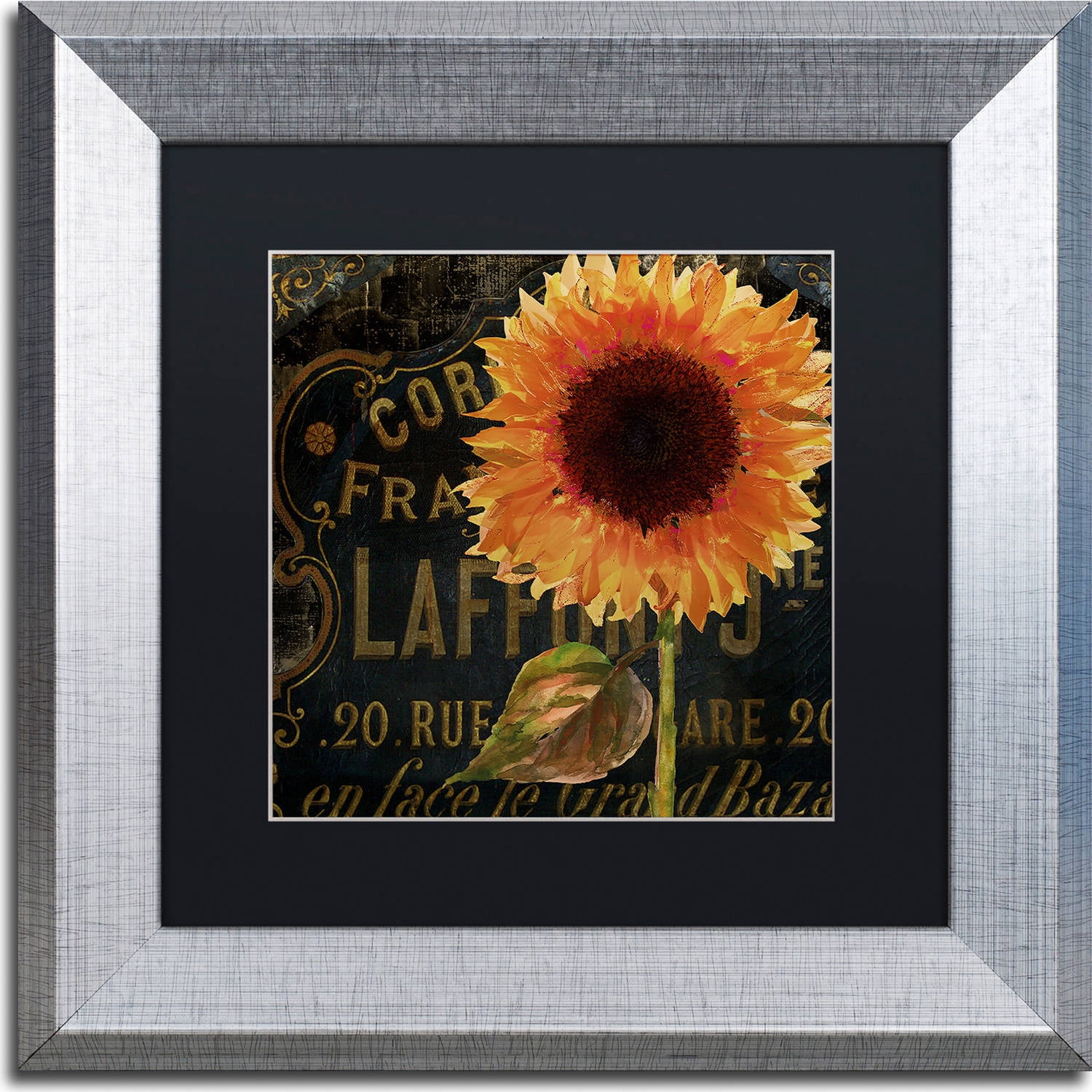 Trademark Fine Art "Sunflower Salon II" Canvas Art by Color Bakery, Black Matte, Silver Frame