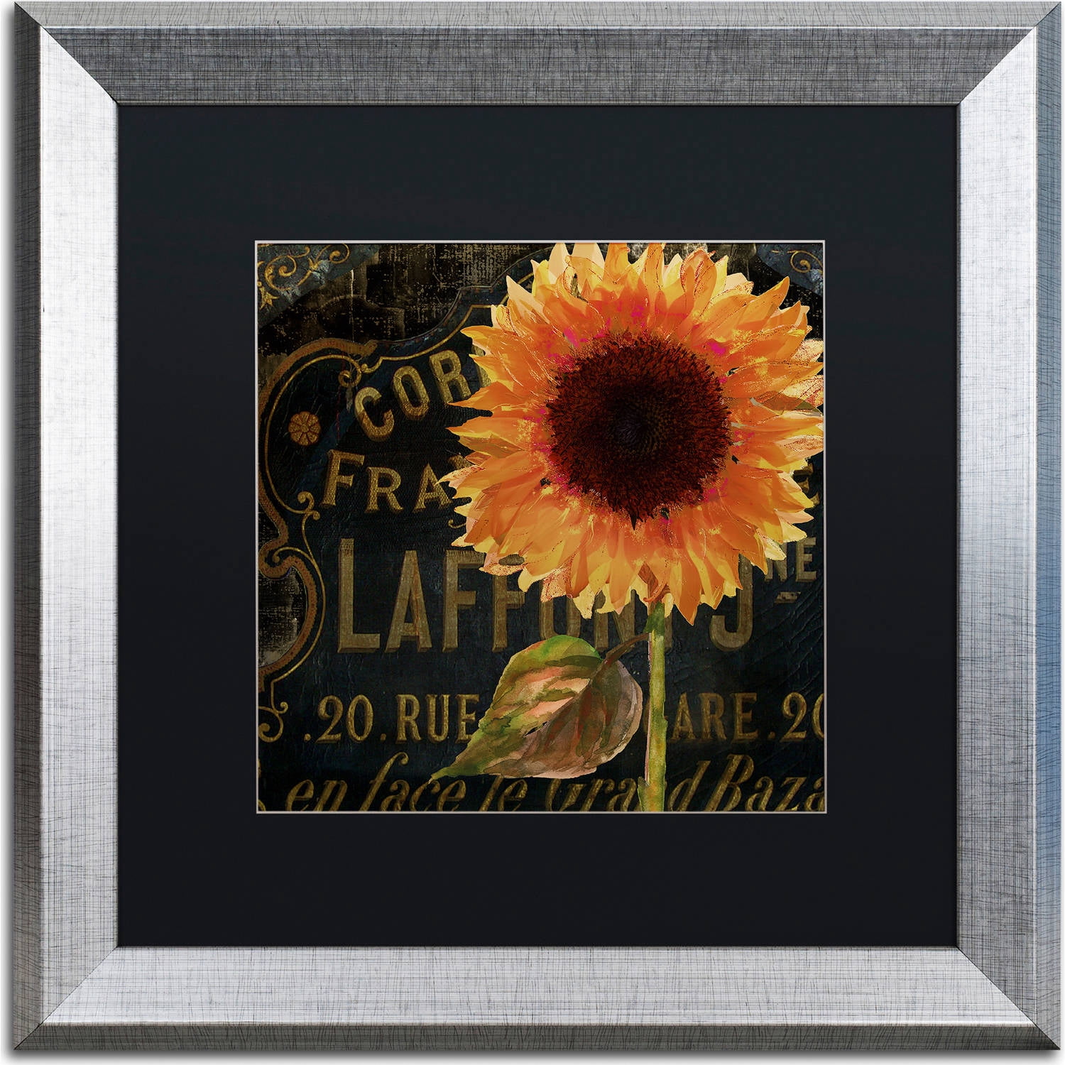 Trademark Fine Art "Sunflower Salon II" Canvas Art by Color Bakery, Black Matte, Silver Frame