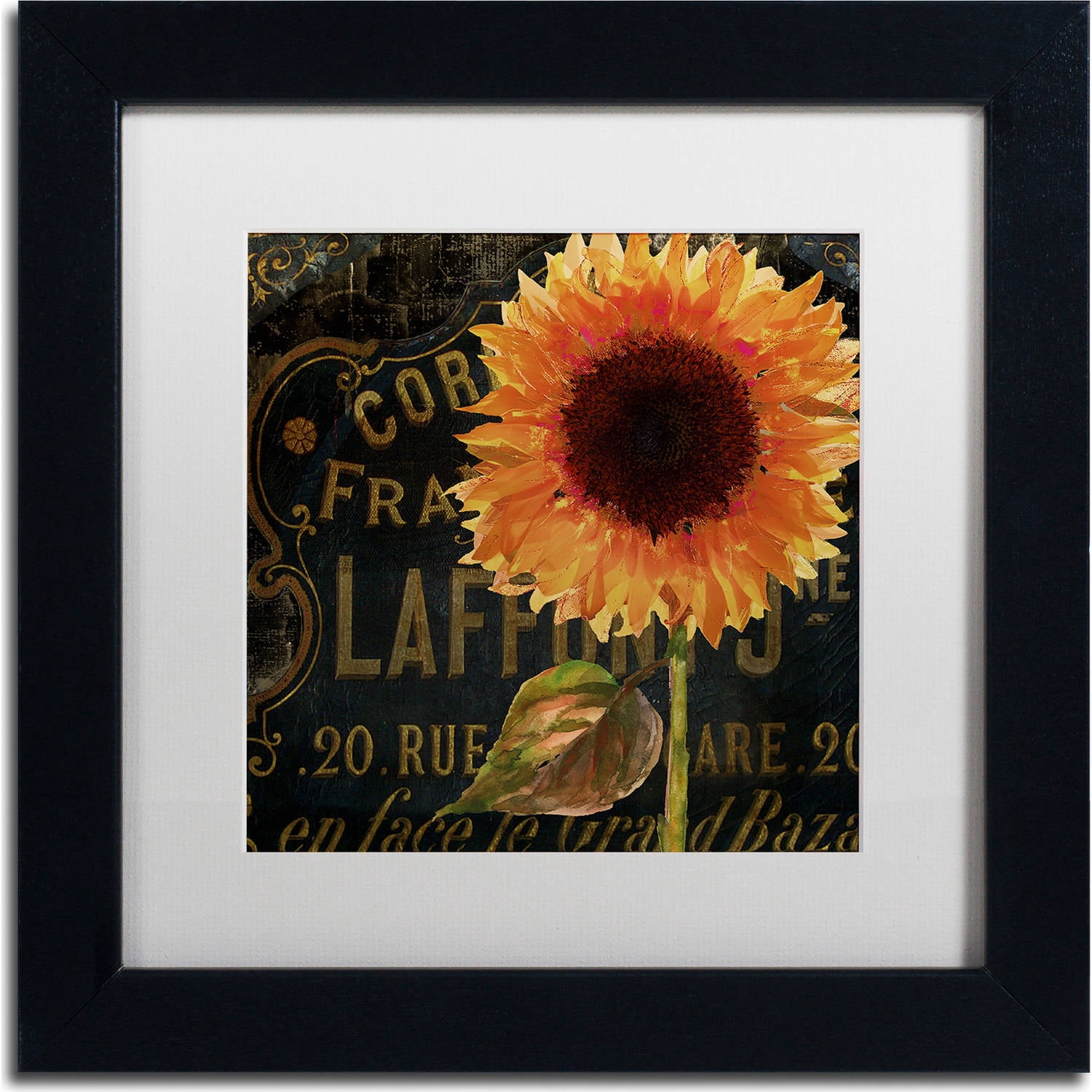 Trademark Fine Art "Sunflower Salon II" Canvas Art by Color Bakery, White Matte, Black Frame