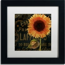 Trademark Fine Art "Sunflower Salon II" Canvas Art by Color Bakery, White Matte, Black Frame