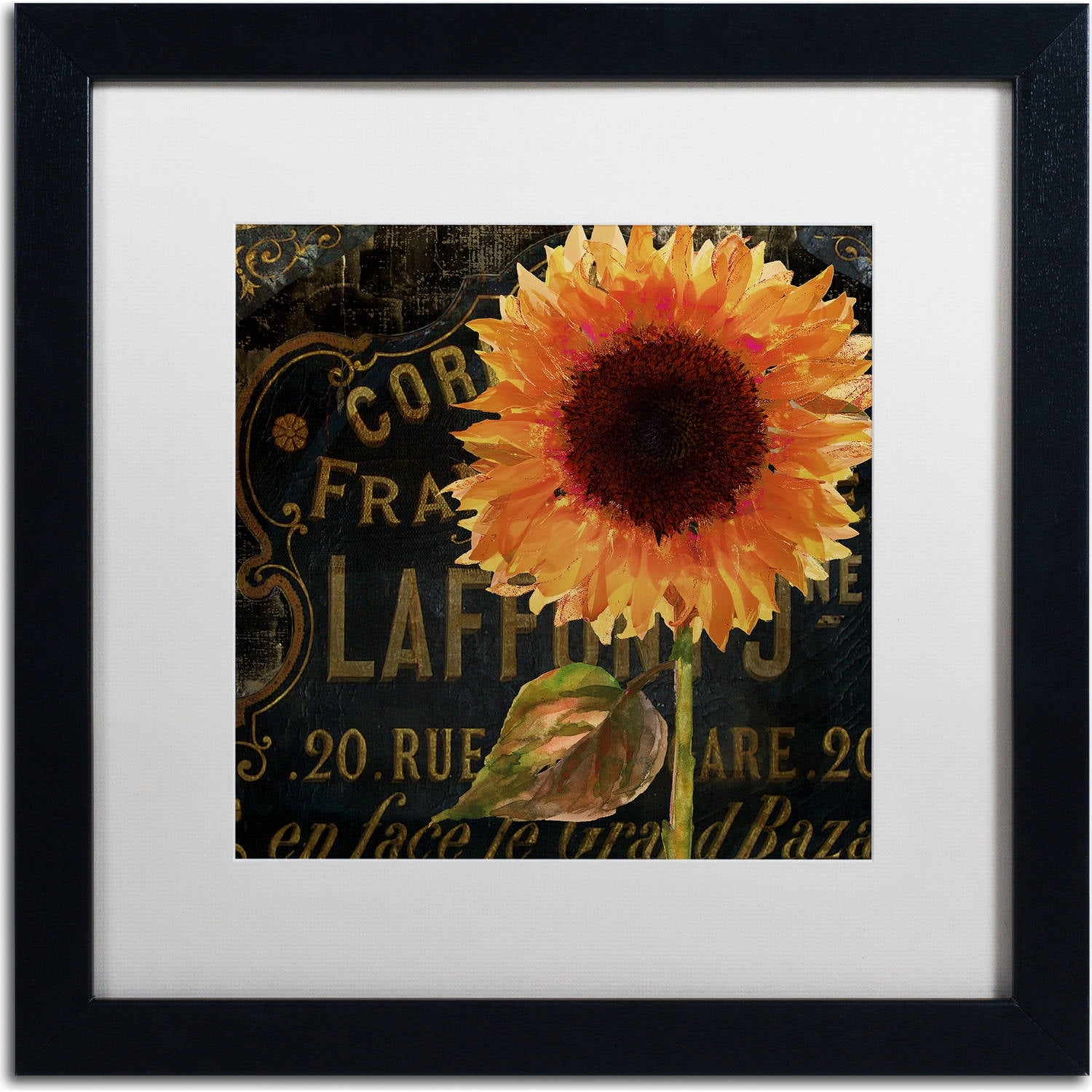 Trademark Fine Art "Sunflower Salon II" Canvas Art by Color Bakery, White Matte, Black Frame