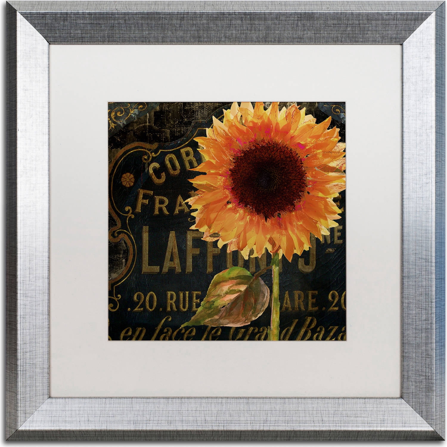 Trademark Fine Art "Sunflower Salon II" Canvas Art by Color Bakery, White Matte, Silver Frame