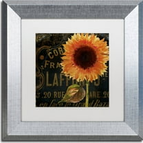 Trademark Fine Art "Sunflower Salon II" Canvas Art by Color Bakery, White Matte, Silver Frame