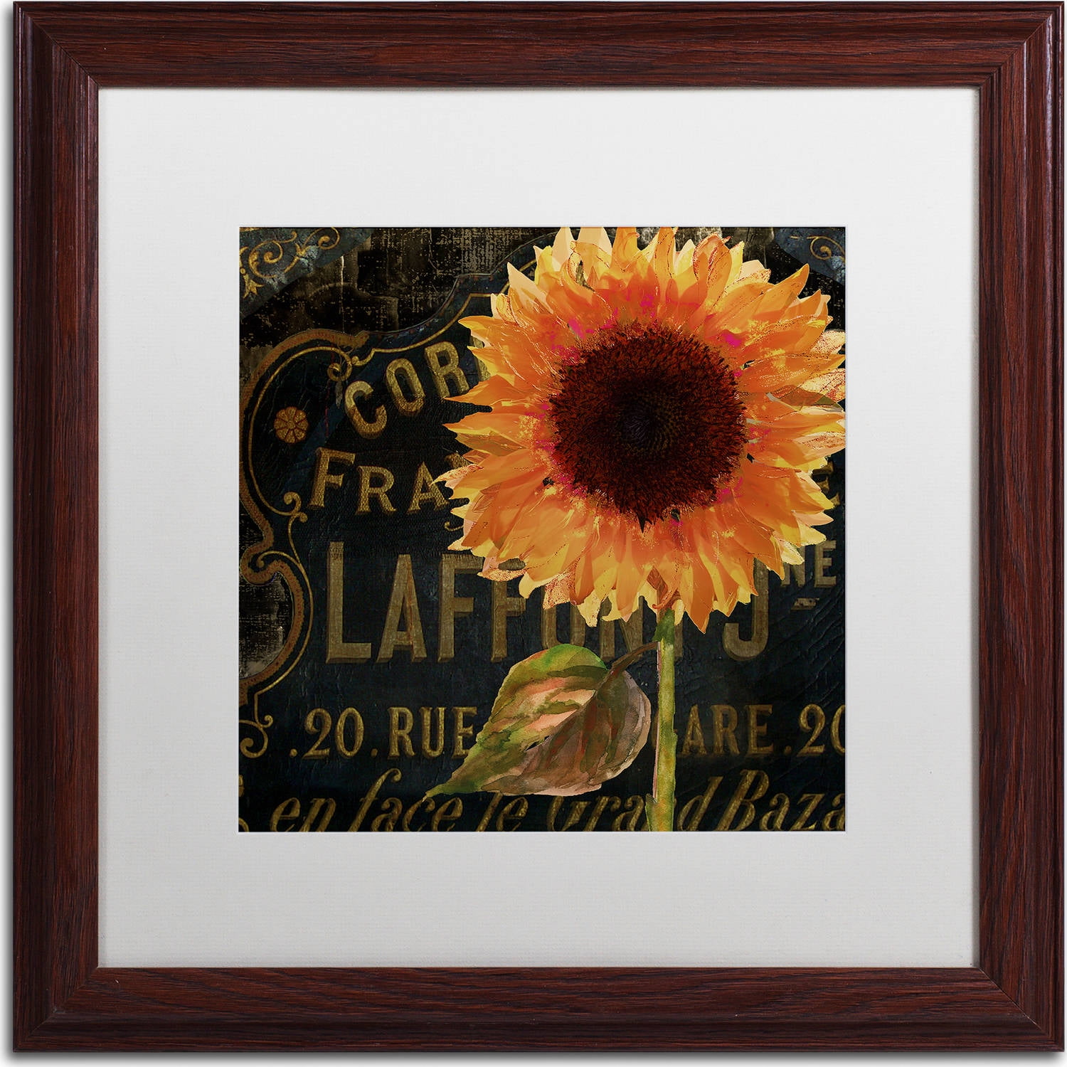 Trademark Fine Art "Sunflower Salon II" Canvas Art by Color Bakery, White Matte, Wood Frame